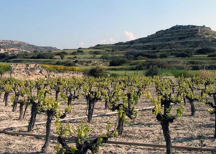 ヴィラ カティキエス 22 ピッソウリ